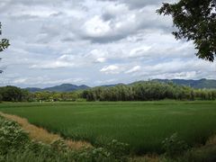 -良渚古城遗址公园