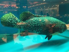 iphone_upload_pic-東海海鲜酒家(中信广场店)