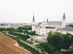 -北京张裕爱斐堡酒庄