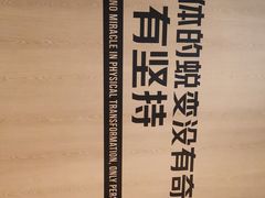 -W FITNESS 威尔仕健身·游泳(老西门新苑店)