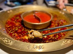 -哥老官重庆美蛙鱼头(龙湖杭州金沙天街店)