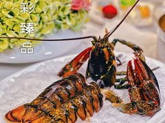 -京彩臻品火锅
