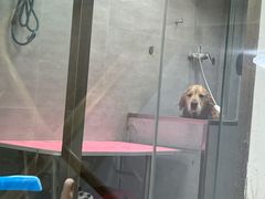 -宠福鑫康馨动物医院·骨科·眼科
