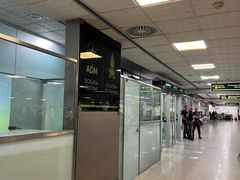 -卡塔尼亚-丰塔纳罗沙机场