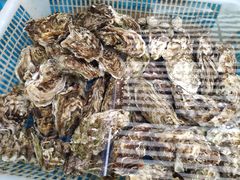-金渔村海鲜烧烤大排档