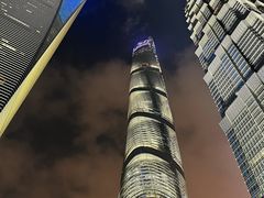 -上海柏悦酒店