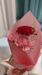 -中法母婴月子中心(南湖创始店)