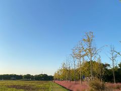 -嘉北郊野公园