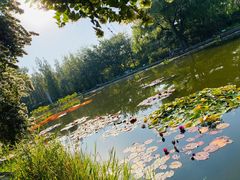 -国家植物园南园