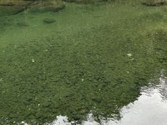 -白云源风景区