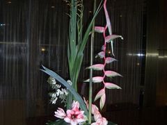 -FEI FEI FLOWER鲜花店·气球派对·宝宝宴布置(虹口德必运动Loft店)