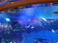 -迪拜帆船酒店海底餐厅