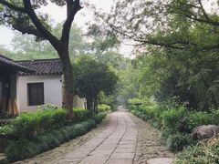-法云安缦酒店