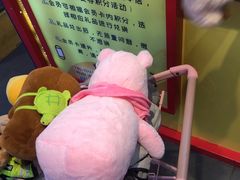 -PAWTOY爪e玩偶店(天兴罗斯福店)