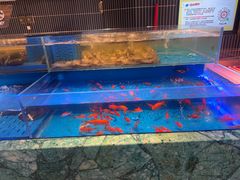 -海底捞火锅(长宁路龙之梦店)