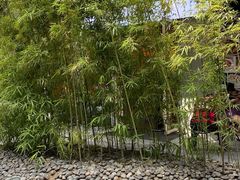 -南小蟹手工點心(三里屯店)