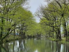 -西溪南古村落景区