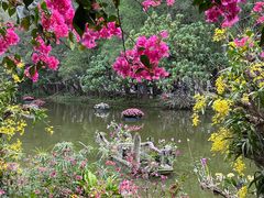 -深圳仙湖植物园