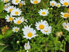 -共青国家森林公园-售票处