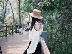 -野象谷景区