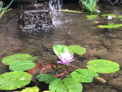 -鱼桥巷·美学川菜