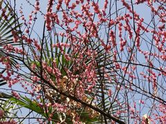 -木塔寺遗址生态公园