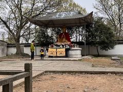 -上海佘山国家森林公园天马山园