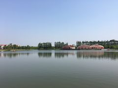 -上海长兴岛郊野公园