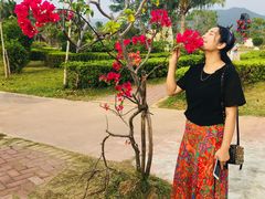 -亚龙湾国际玫瑰谷
