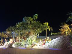 -三亚红色娘子军演艺公园景区