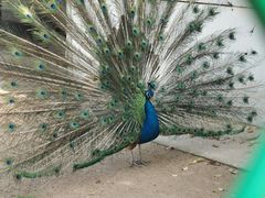 -苏州上方山国家森林公园