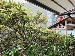-巴倒烫陆派火锅山庄(南山总店)