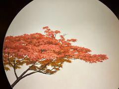 -万豪中餐厅·粤菜·北京粤财JW万豪酒店