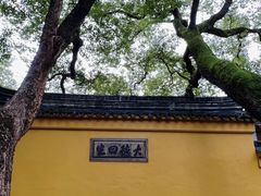 -西园戒幢律寺