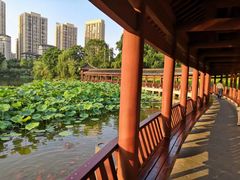 -龙头寺公园