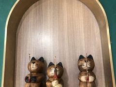 -飞行喵MR PILOT|猫舍·猫咖(静安大融城店)