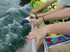 -鑫艋游艇海钓俱乐部