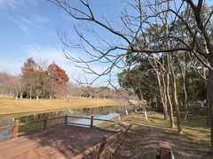 -上海海湾国家森林公园