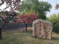 -莲花池公园