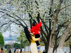 -盘龙城国家考古遗址公园