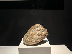 -福建博物院