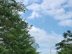 -亚龙湾国际玫瑰谷
