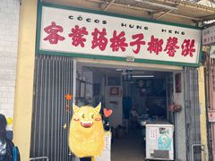 -洪馨椰子