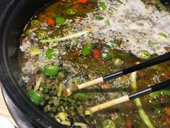 鲜椒锅-香坝坝鲜鱼火锅(春熙路店)