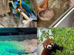 -海合安武汉极地海洋公园