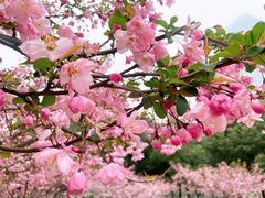 -天鹅湖体育公园