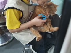 -十年猫舍·猫咪专门店(普陀店)