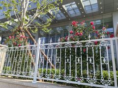 -天津医科大学肿瘤医院(本部院区)