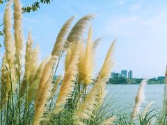 -星巴克(成都科学城店)