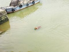 -黄埔古港